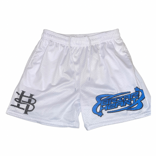 Mesh Shorts White/Blue